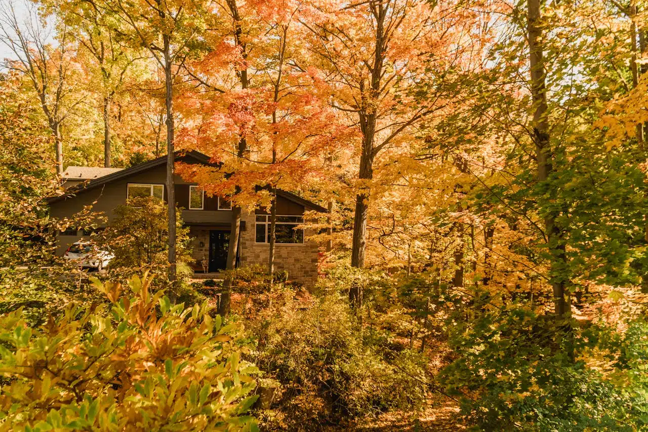 Rudenį medžių apsuptyje pasislėpęs namelis – nakvynė neįprastoje vietoje Vilniuje gamtos mylėtojams.