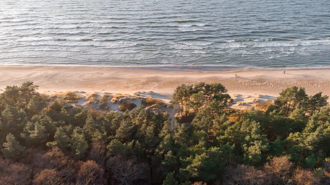 Ką veikti Klaipėdoje, jei mėgsti meną, istoriją ir gerą kavą – vaizdas į jūrą ir kopas iš paukščio skrydžio.
