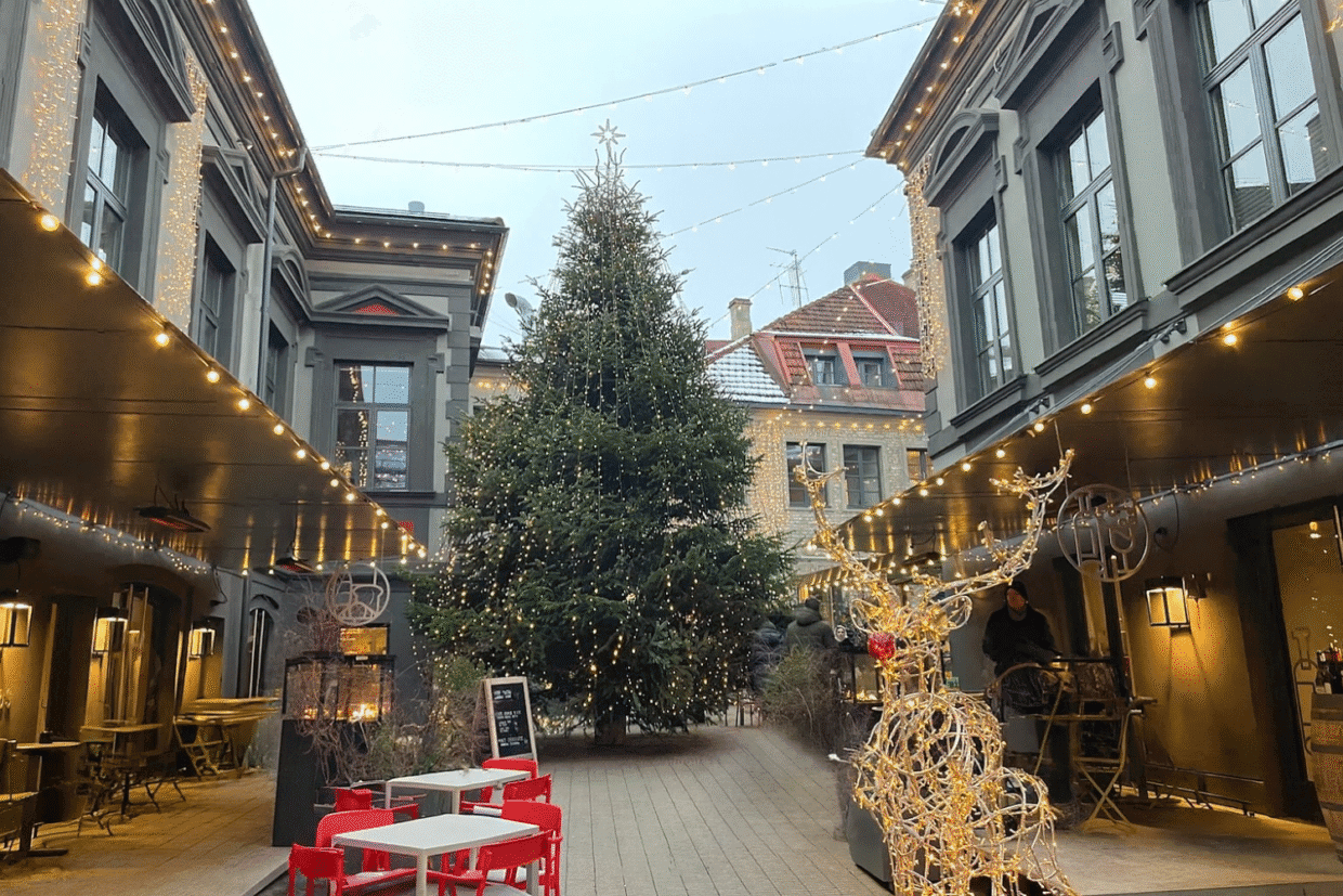 Muge prie Katedros aikštės Vilniuje