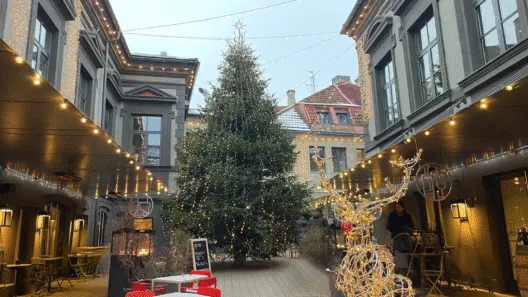 Muge prie Katedros aikštės Vilniuje