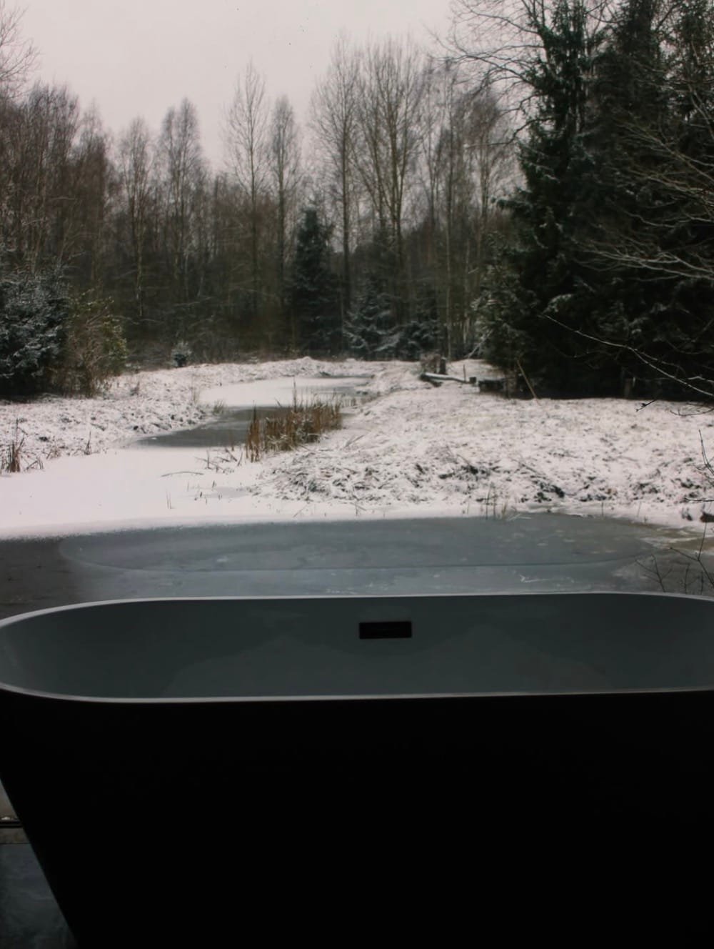 Stilinga vonia prie panoraminio lango su vaizdu į mišką namelyje Miško ritmas.