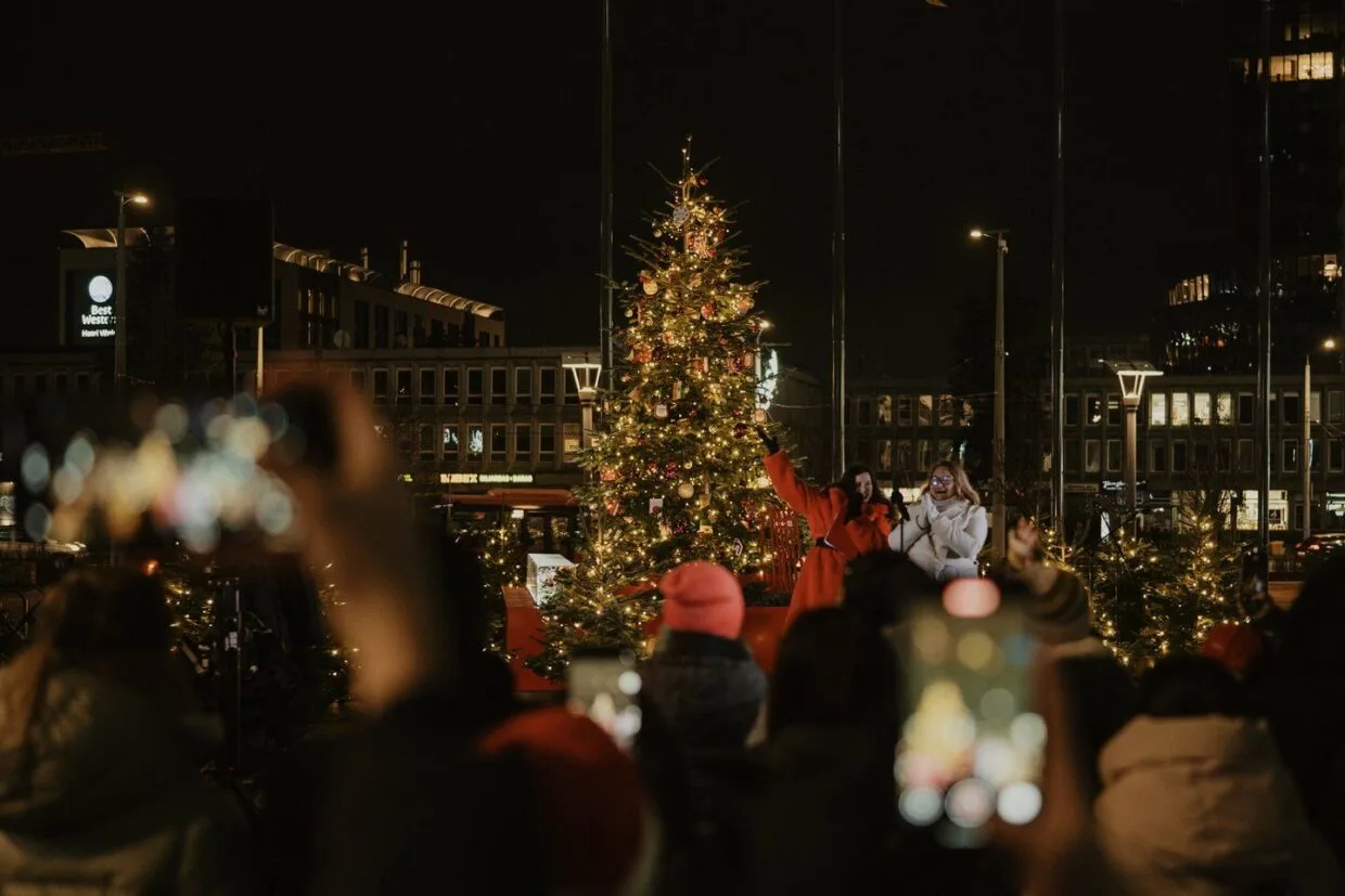 Tarptautinis kalėdinių eglučių miškas Vilniuje K. Sirvydo skvere