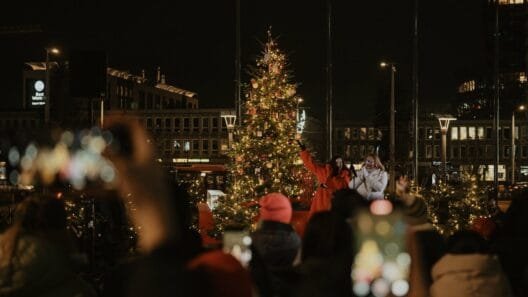 Tarptautinis kalėdinių eglučių miškas Vilniuje K. Sirvydo skvere
