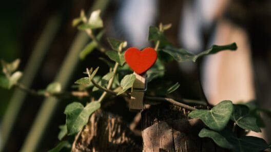 Širdelė – Valentino diena Kaune ir romantiška miesto nuotaika