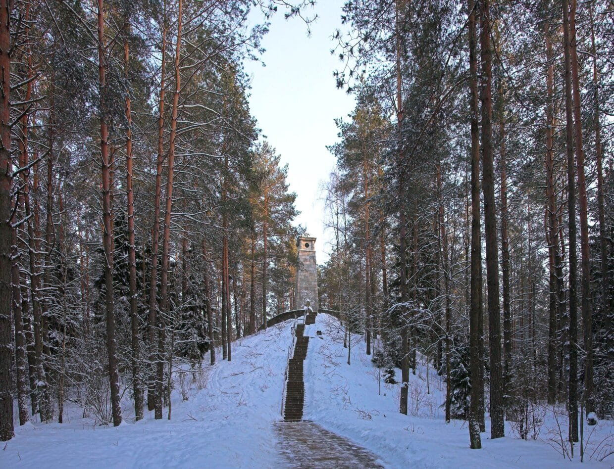 Anykščiai Žiemą - apsnigtas Medžių lajų takas, atsiverianti Anykščių šilelio panorama.