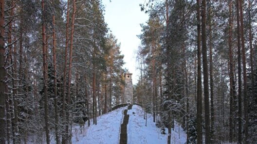 Anykščiai Žiemą - apsnigtas Medžių lajų takas, atsiverianti Anykščių šilelio panorama.