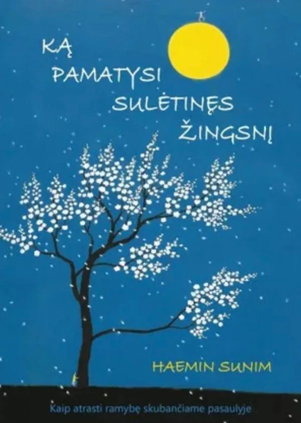 Haemin Sunim knyga apie dvasinę ramybę, primenanti, kad lėtas gyvenimo būdas prasideda nuo mūsų proto ramybės.