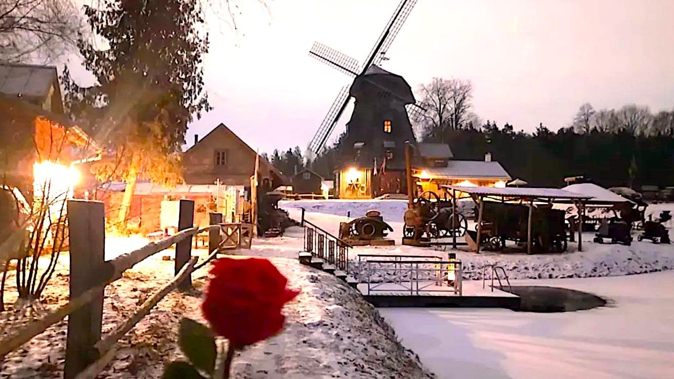 Jaukus pirties namelis su lauko terasa ir vaizdu į mišką pačioje Vingio parko širdyje.