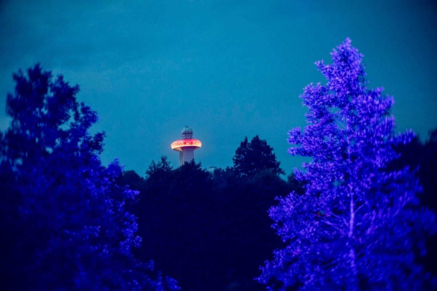 Muzikos grupės koncertas gamtoje, apšviestas spalvingų prožektorių šviesų.