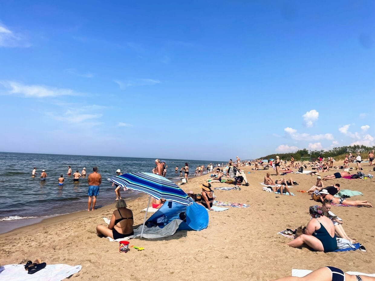 Planuojate, ką veikti vasarą: naktinis plaukimas baidarėmis po Vilniaus tiltais ir aktyvus poilsis Lietuvos gamtos takuose.