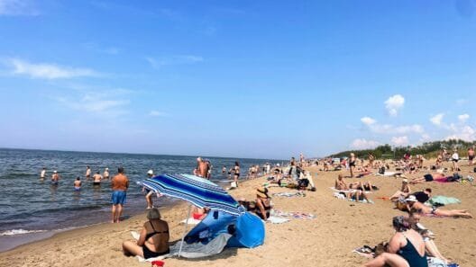 Planuojate, ką veikti vasarą: naktinis plaukimas baidarėmis po Vilniaus tiltais ir aktyvus poilsis Lietuvos gamtos takuose.