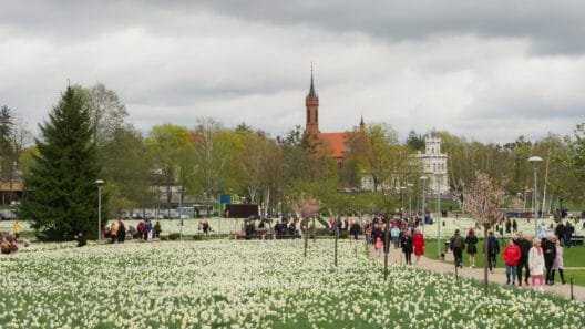 Milijonas pražydusių žiedų parke, kai vyksta narcizų žydėjimo šventė Druskininkuose - pavasario renginiai kurorte.