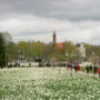 Milijonas pražydusių žiedų parke, kai vyksta narcizų žydėjimo šventė Druskininkuose - pavasario renginiai kurorte.