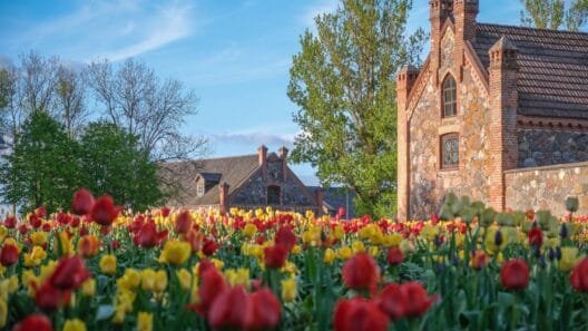 Tulpių žydėjimo šventė 2026 Burbiškio dvare: tūkstančiai spalvingų tulpių žiedų muziejaus-draustinio parke.