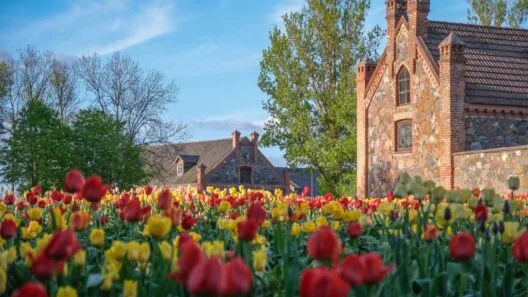 Tulpių žydėjimo šventė 2026 Burbiškio dvare: tūkstančiai spalvingų tulpių žiedų muziejaus-draustinio parke.
