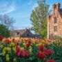 Tulpių žydėjimo šventė 2026 Burbiškio dvare: tūkstančiai spalvingų tulpių žiedų muziejaus-draustinio parke.