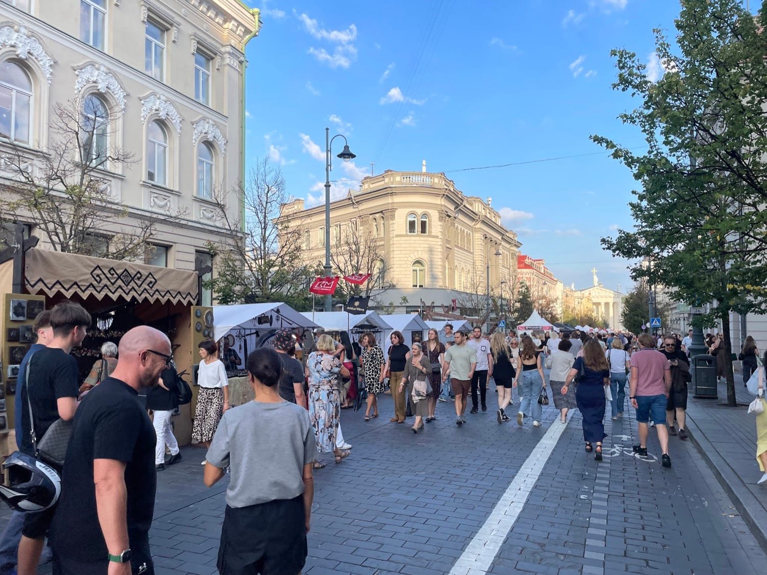Žmonių minia renginyje Vilniuje