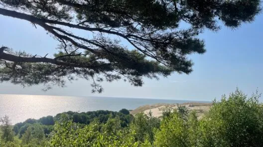 Muzikos atlikėjų koncertai ir kiti vasaros renginiai pajūryje pritraukia kokybiško bei lėto poilsio ieškančius žmones.