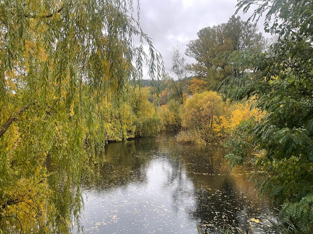 Ką veikti rudenį Lietuvoje -parkas su rudens lapais ir tvenkiniu saulėtą dieną