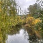 Ką veikti rudenį Lietuvoje -parkas su rudens lapais ir tvenkiniu saulėtą dieną