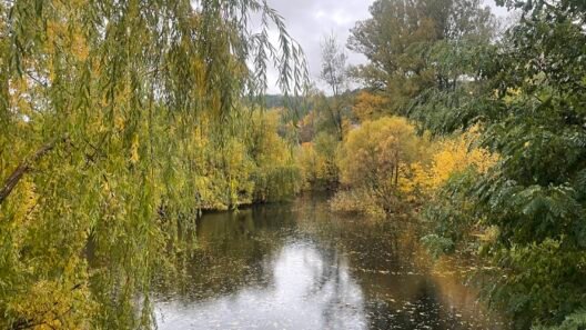 Ką veikti rudenį Lietuvoje -parkas su rudens lapais ir tvenkiniu saulėtą dieną