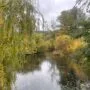 Ką veikti rudenį Lietuvoje -parkas su rudens lapais ir tvenkiniu saulėtą dieną