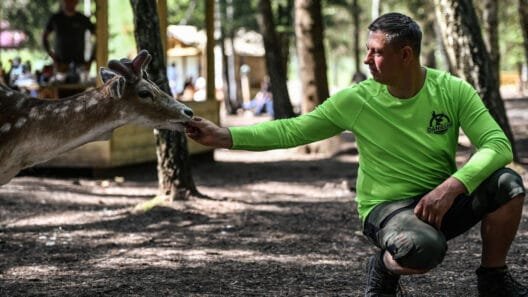 Perlinių Danielių parkas - ranka šeria danielių parke.