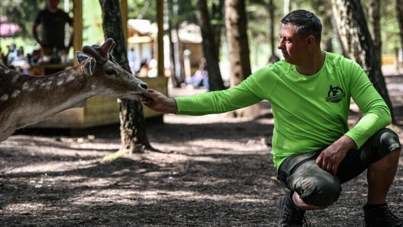 Perlinių Danielių parkas - ranka šeria danielių parke.