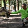 Perlinių Danielių parkas - ranka šeria danielių parke.