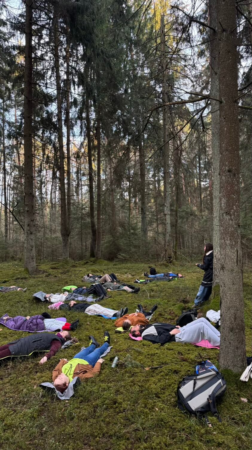 Žmonių grupė ilsisi gulėdama ant samanų miške.