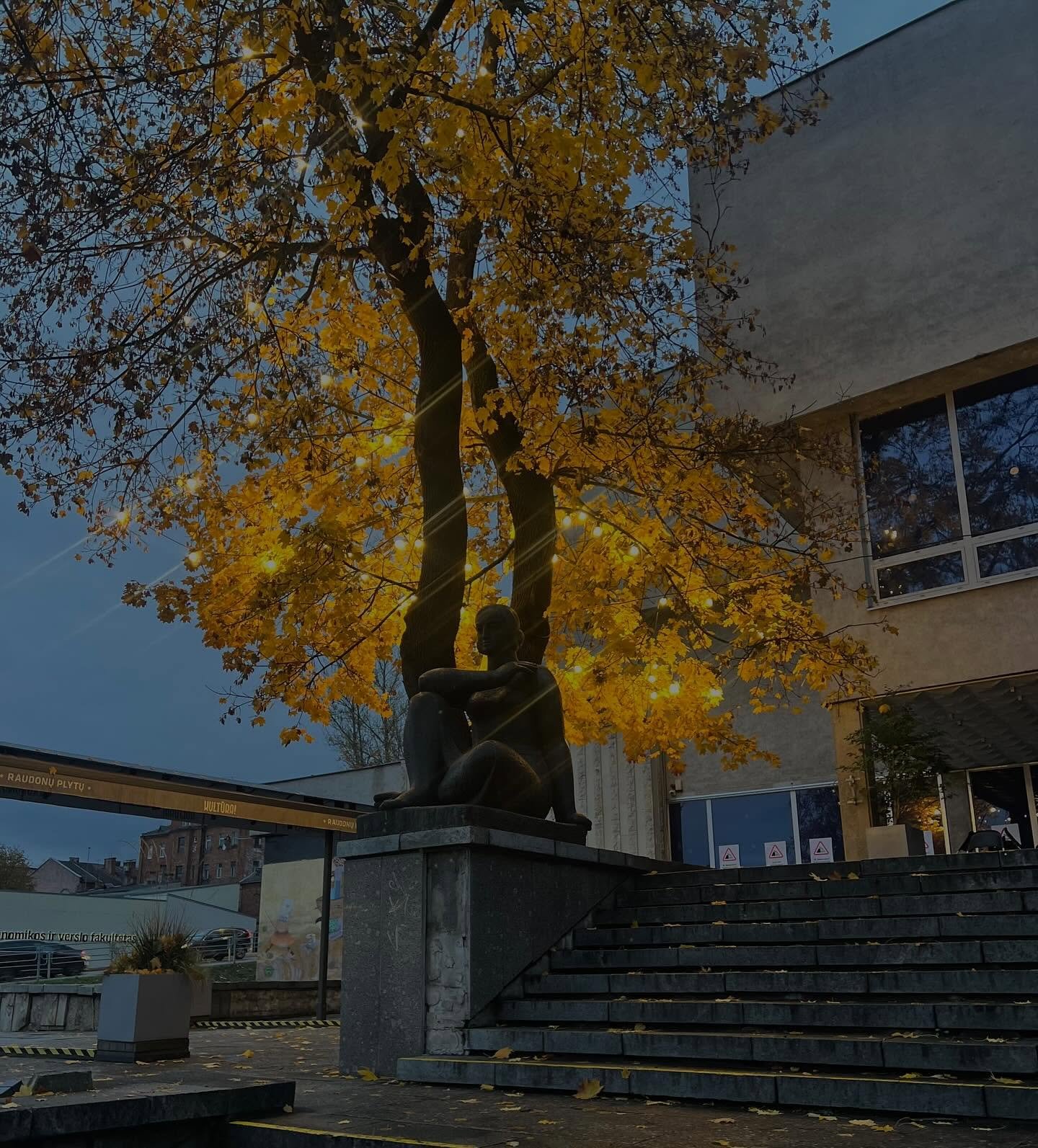 Skulptūra ir geltonuojantis medis su girliandomis prie Kauno kavinės.