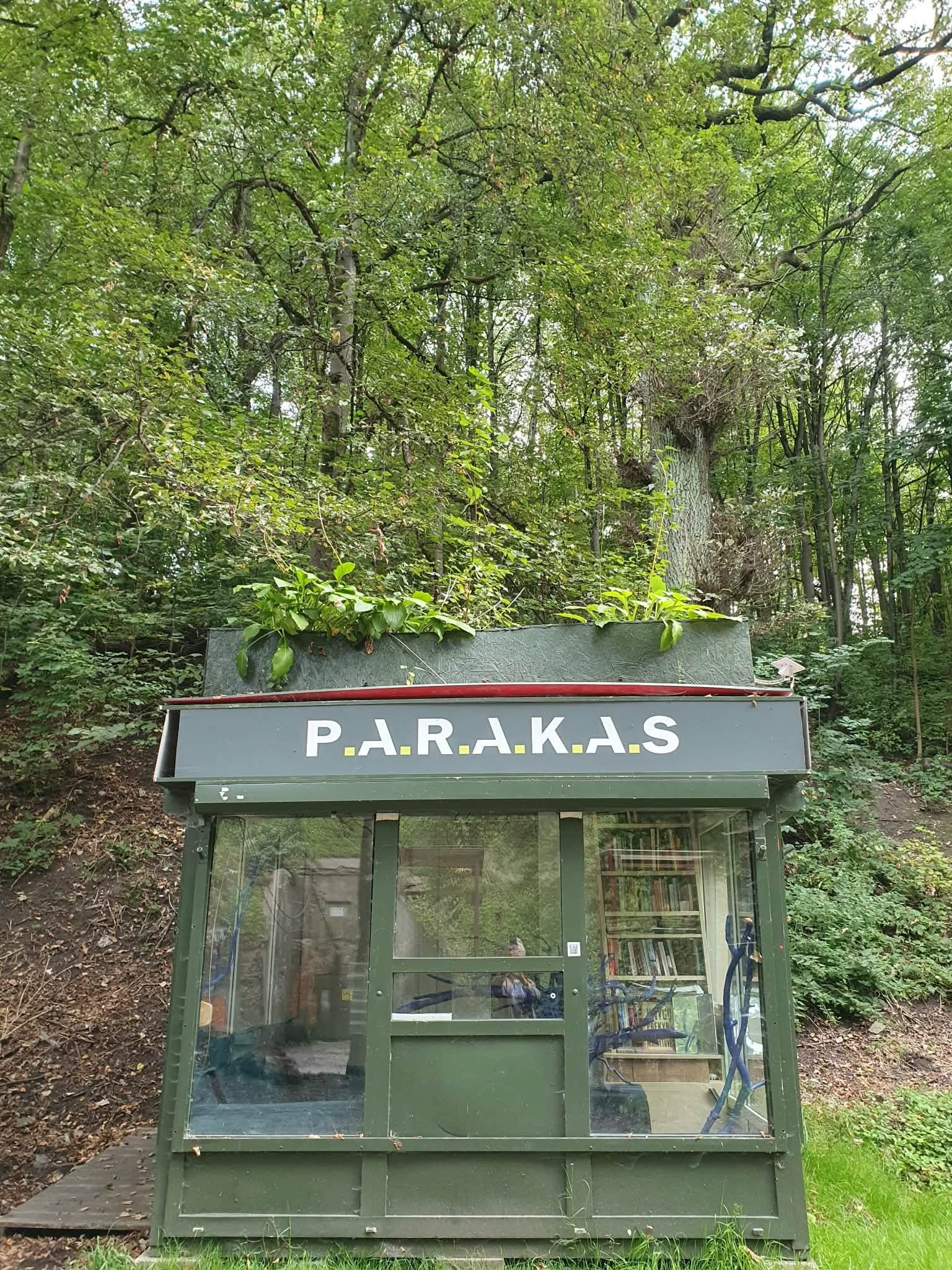 Žalias knygų stotelės statinys su užrašu „P.A.R.A.K.A.S“ miško fone.